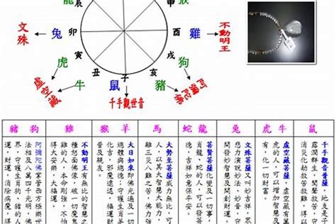 2003年出生属什么|2003年属什么生肖属相 2003年出生的人属什么